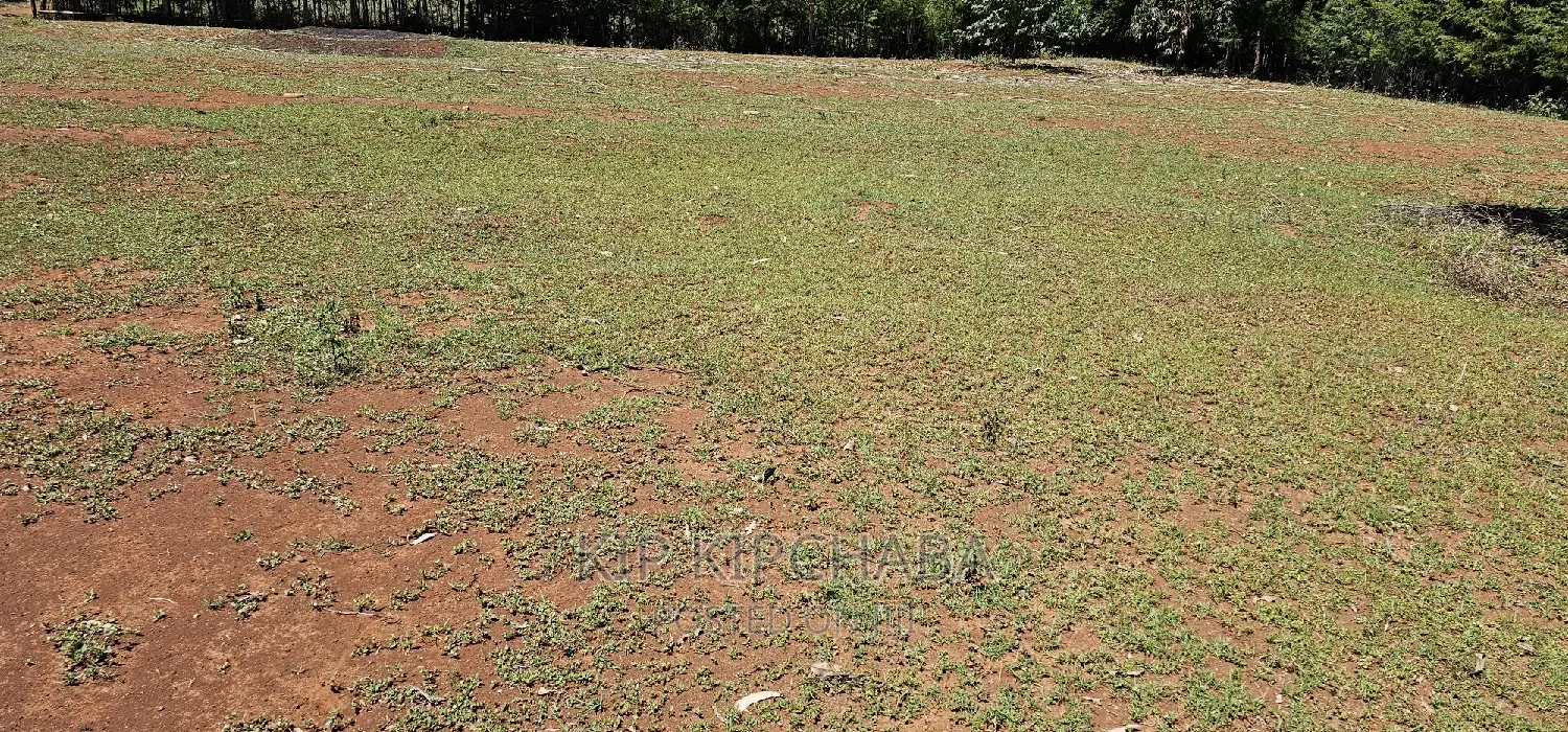 Plots for Sale in Racecours Borderingelgonview in Eldoret