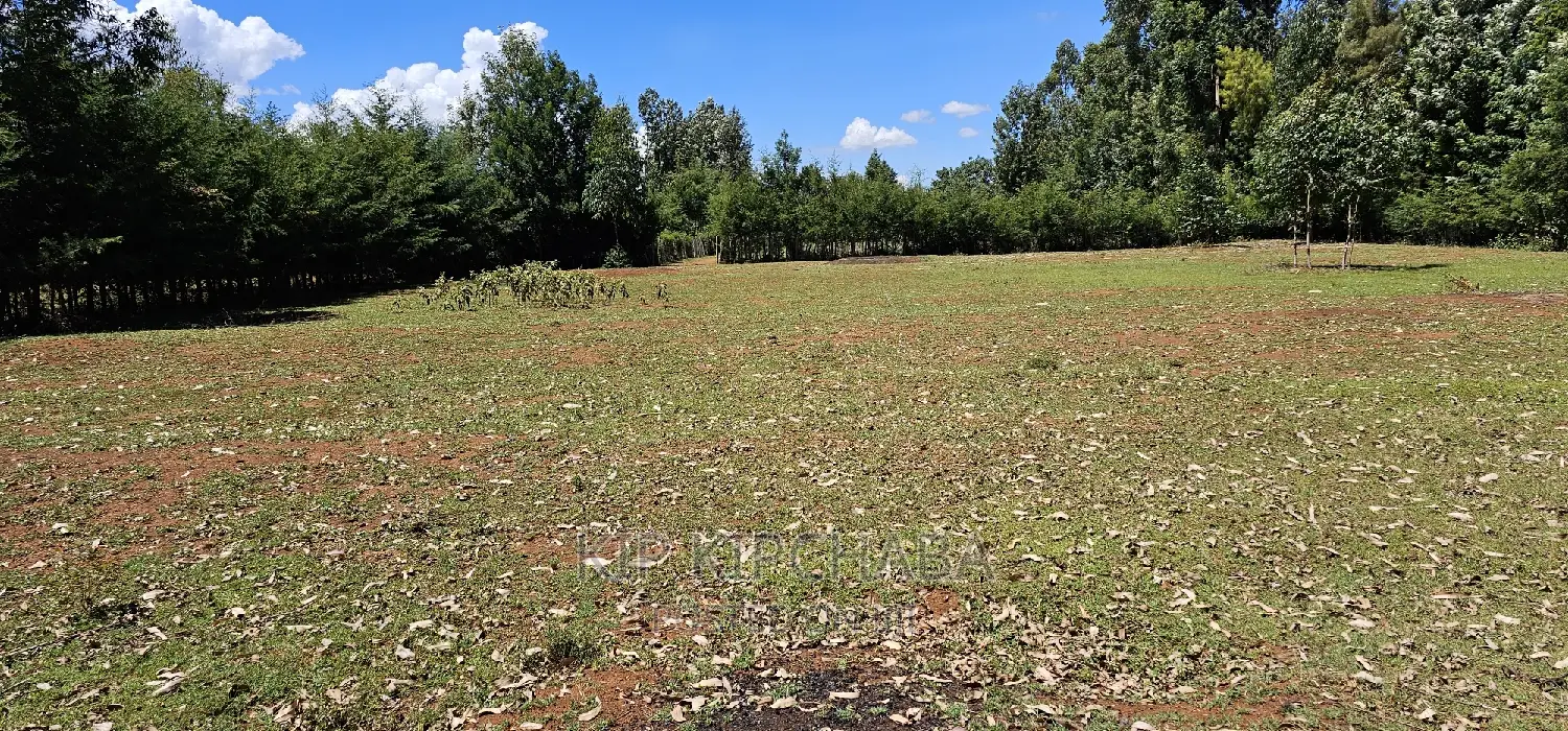 Plots for Sale in Racecours Borderingelgonview in Eldoret