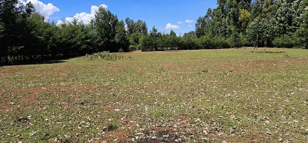 Plots for Sale in Racecours Borderingelgonview in Eldoret - thumbnail 9