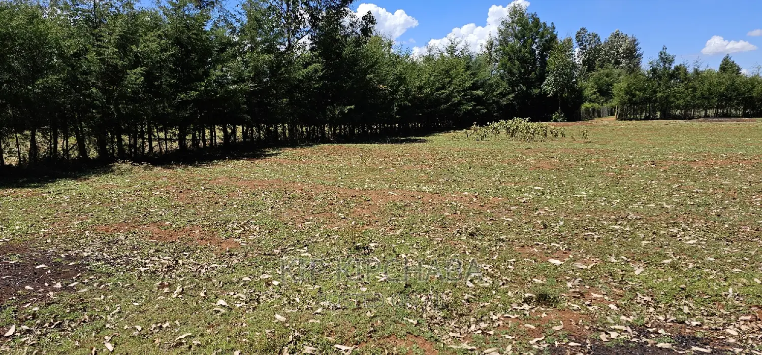 Plots for Sale in Racecours Borderingelgonview in Eldoret