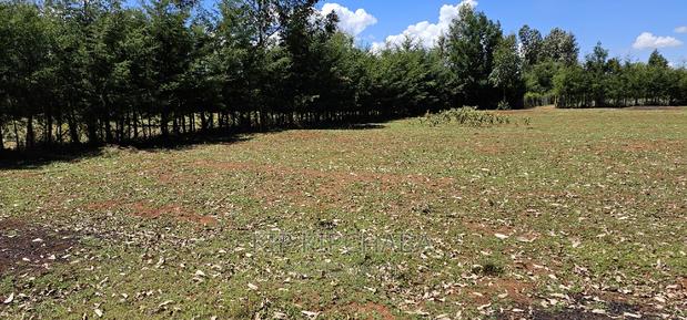 Plots for Sale in Racecours Borderingelgonview in Eldoret - thumbnail 11