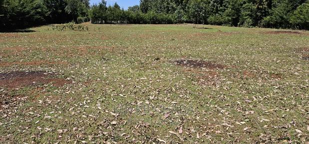 Plots for Sale in Racecours Borderingelgonview in Eldoret - thumbnail 12