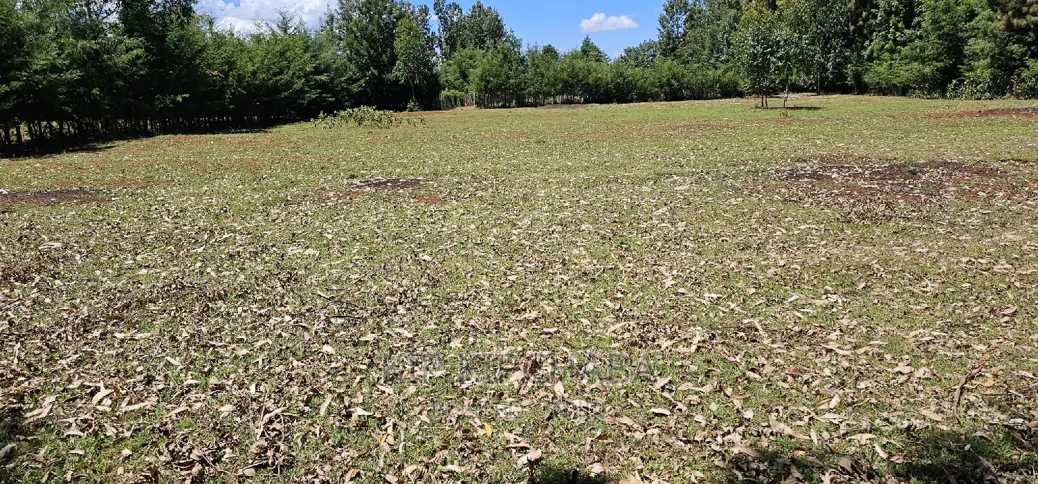 Plots for Sale in Racecours Borderingelgonview in Eldoret