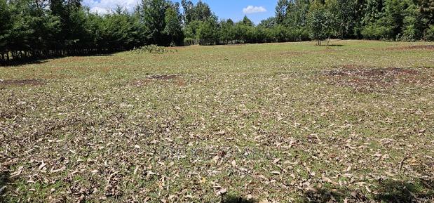 Plots for Sale in Racecours Borderingelgonview in Eldoret - thumbnail 13