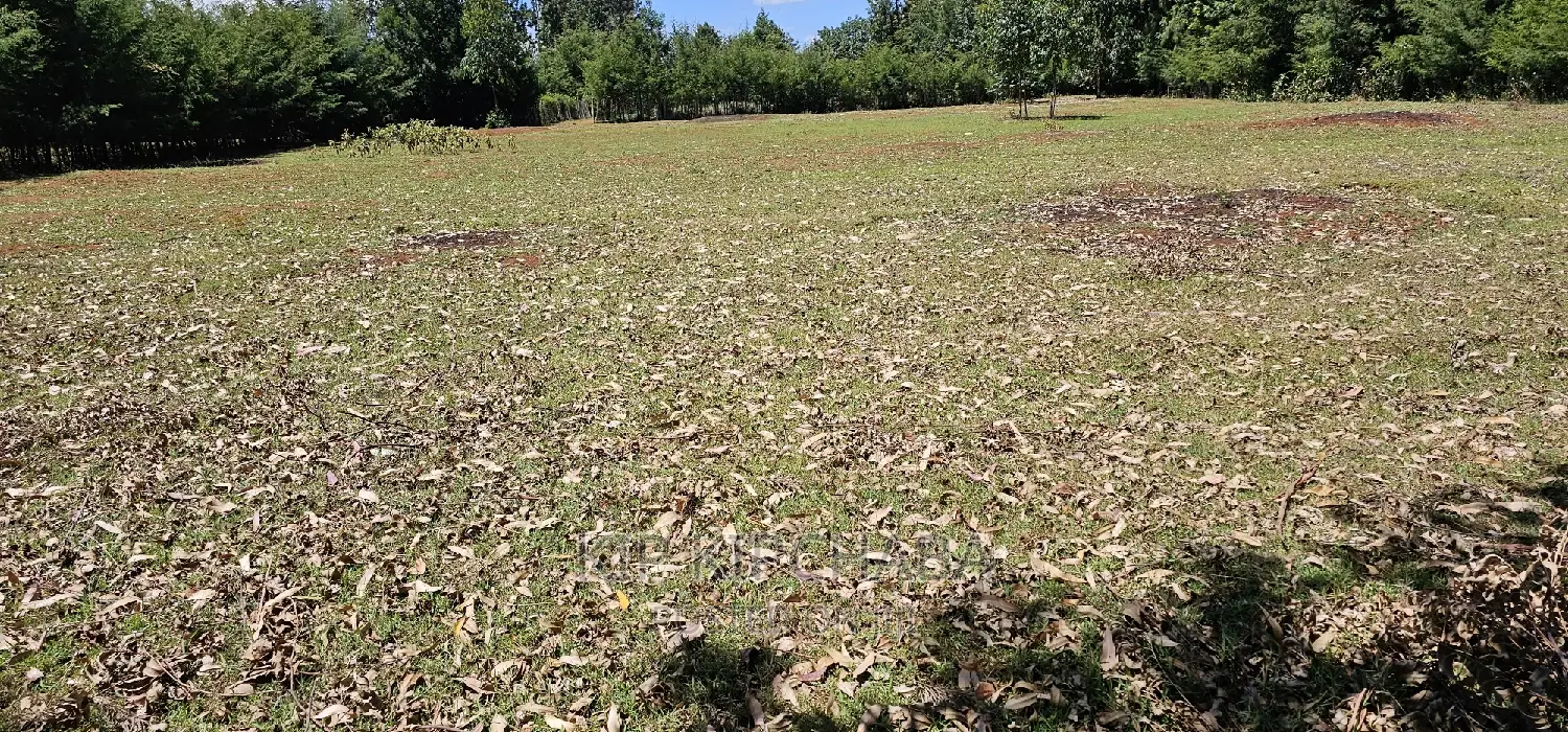 Plots for Sale in Racecours Borderingelgonview in Eldoret