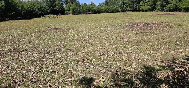 Plots for Sale in Racecours Borderingelgonview in Eldoret - thumbnail 14