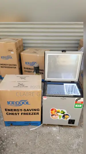 Silver Ice Cool Chest Freezer 60 Litres Available