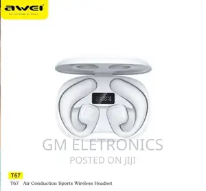 Awei T67 Earhook Earbuds.