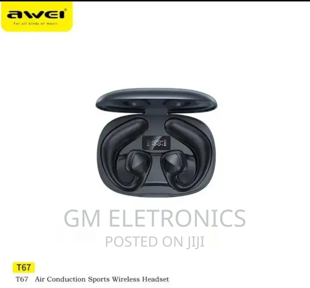 Awei T67 Earhook Earbuds.