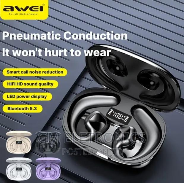 Awei T67 Earhook Earbuds. - main view