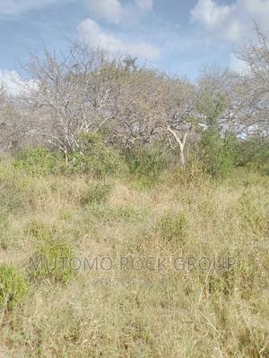1500 Acres for Sale - thumbnail 2