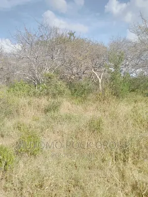 1500 Acres for Sale