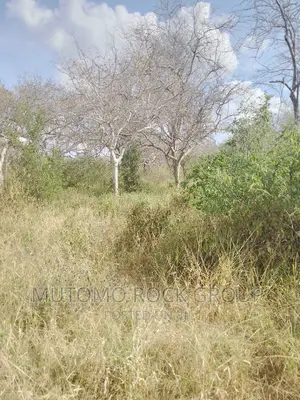 1500 Acres for Sale