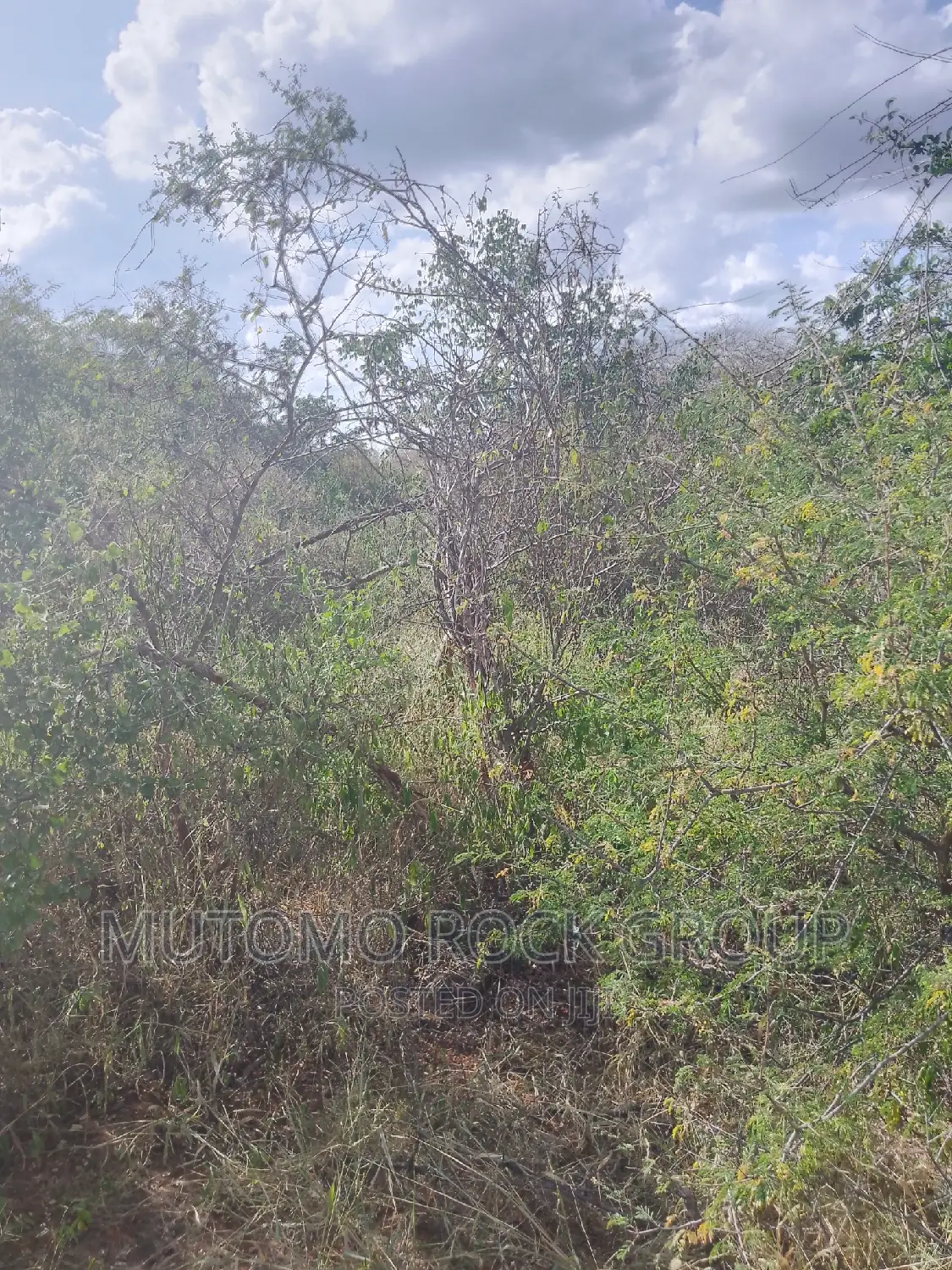 1500 Acres for Sale