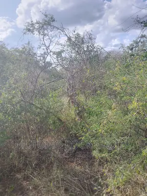 1500 Acres for Sale
