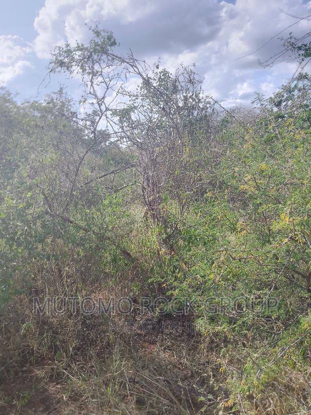 1500 Acres for Sale - thumbnail 5