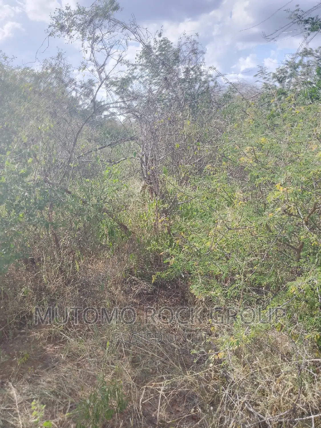 1500 Acres for Sale