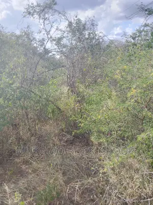 1500 Acres for Sale