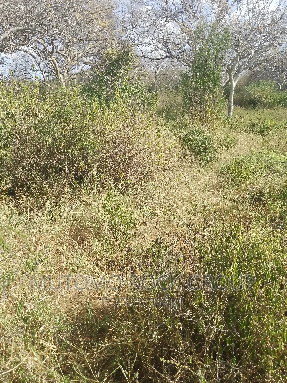 1500 Acres for Sale