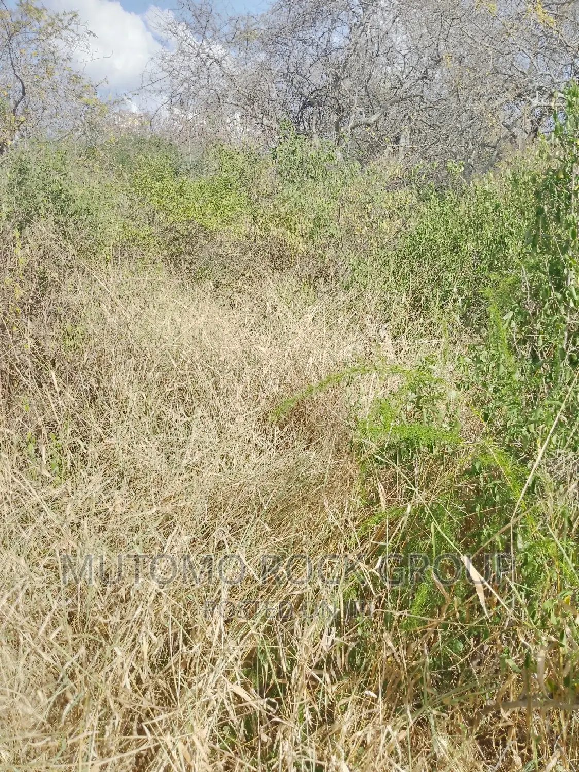 1500 Acres for Sale