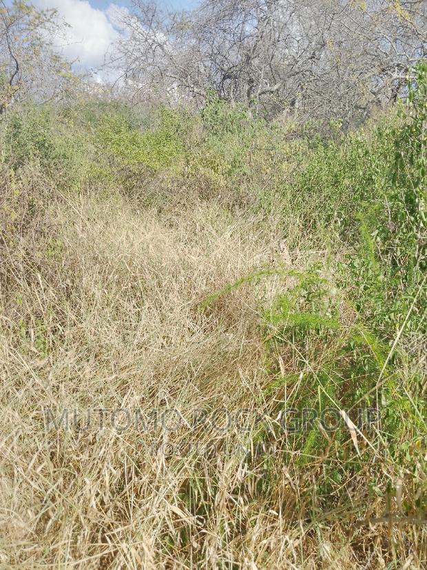 1500 Acres for Sale - thumbnail 8