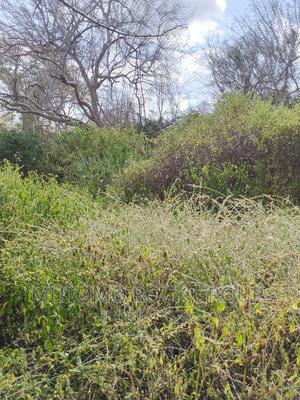 10,000 Acres for Sale - thumbnail 2