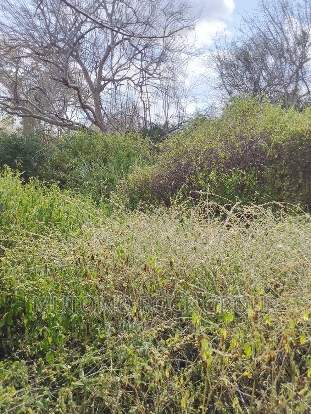 10,000 Acres for Sale - main view