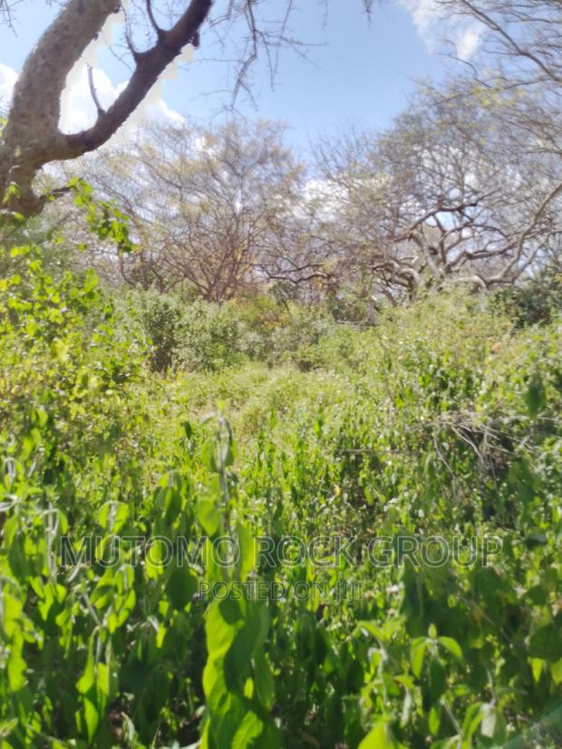 10,000 Acres for Sale - thumbnail 4