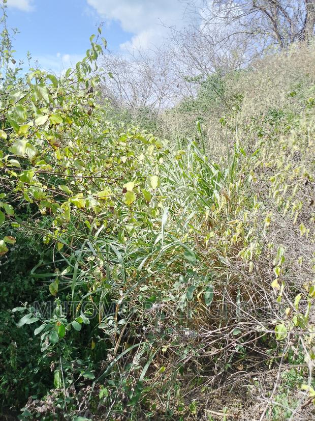 10,000 Acres for Sale - thumbnail 5