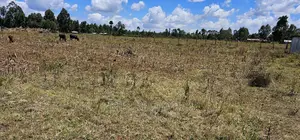 1⁄4 Plot Touching Highway for Isle in Chepkanga Eldoret