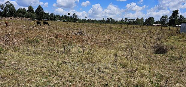 1⁄4 Plot Touching Highway for Isle in Chepkanga Eldoret - thumbnail 4