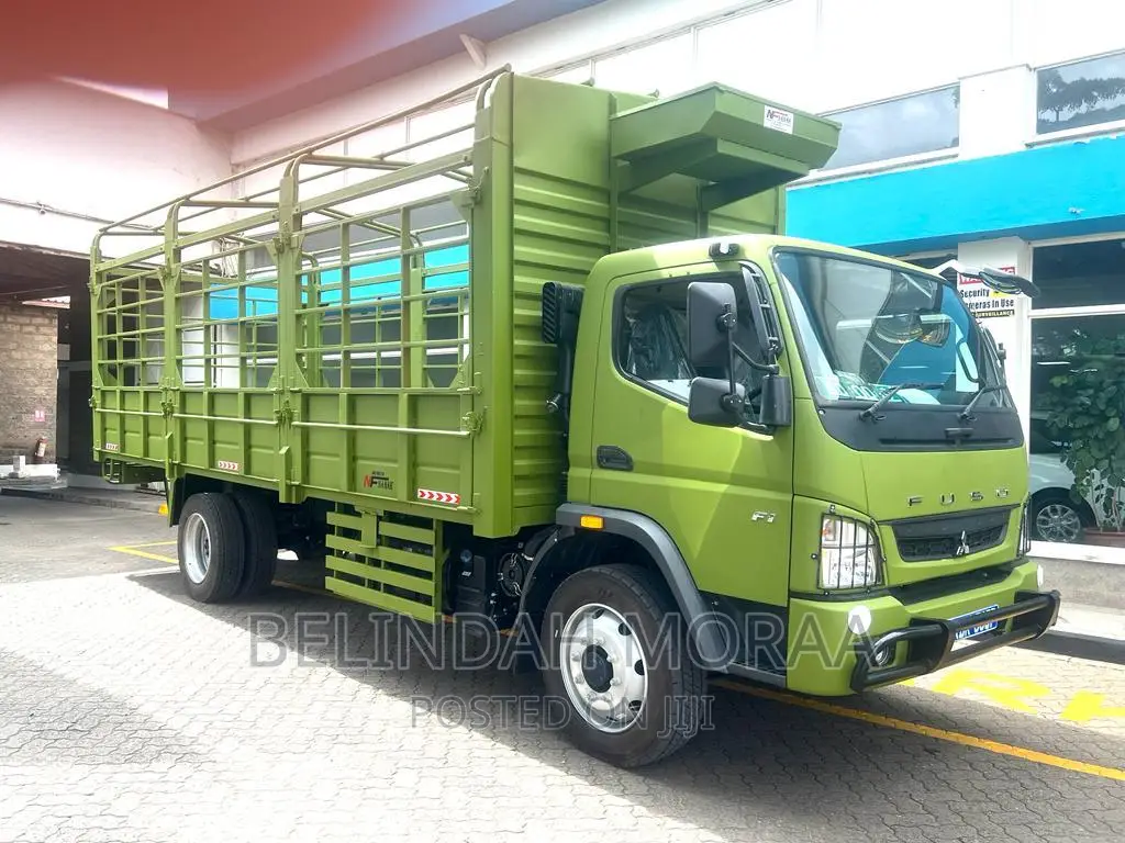 Fuso Fi 22 Feet