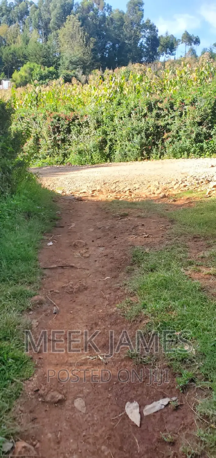 Quick Sale 2 Acres of Land