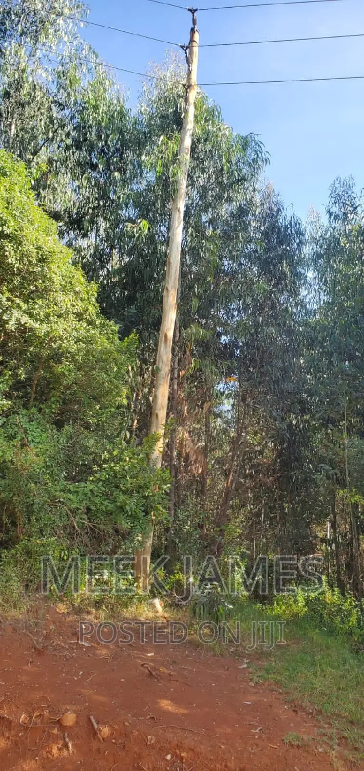 Quick Sale 2 Acres of Land