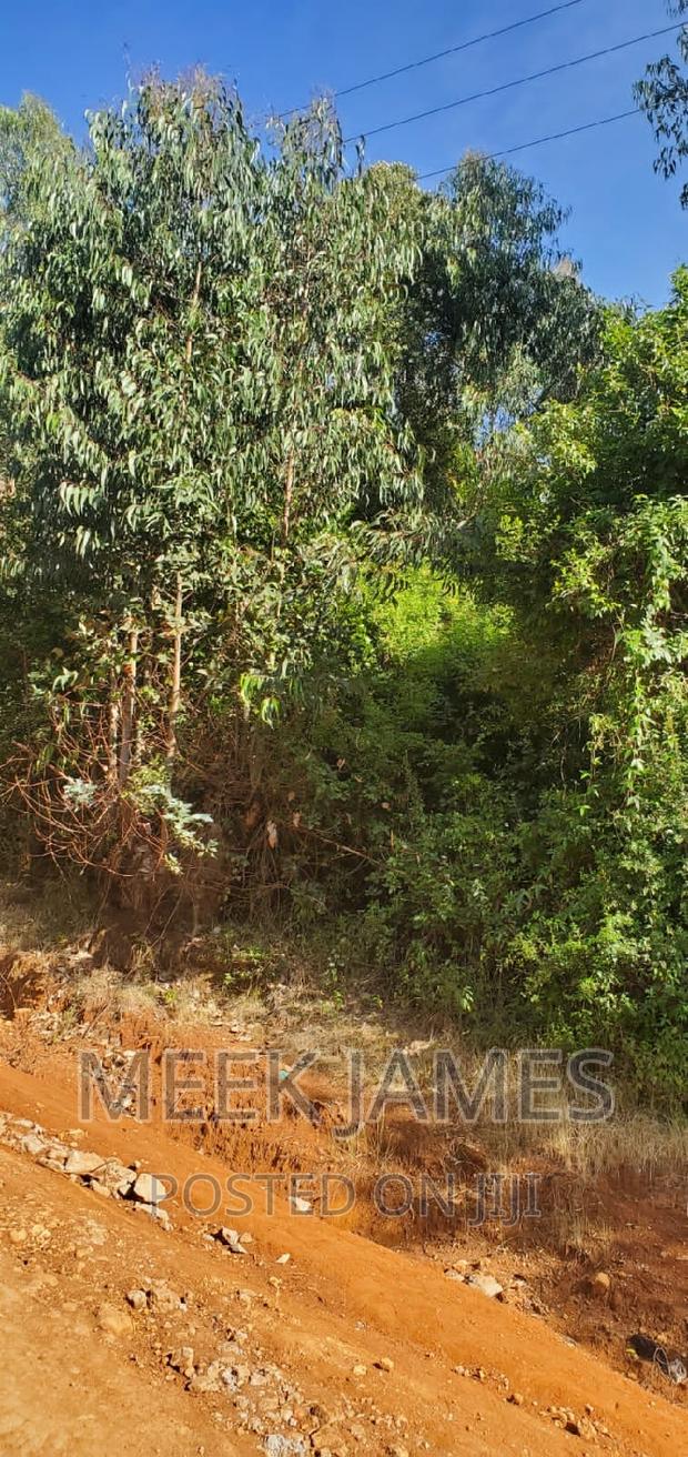 Quick Sale 2 Acres of Land - thumbnail 8