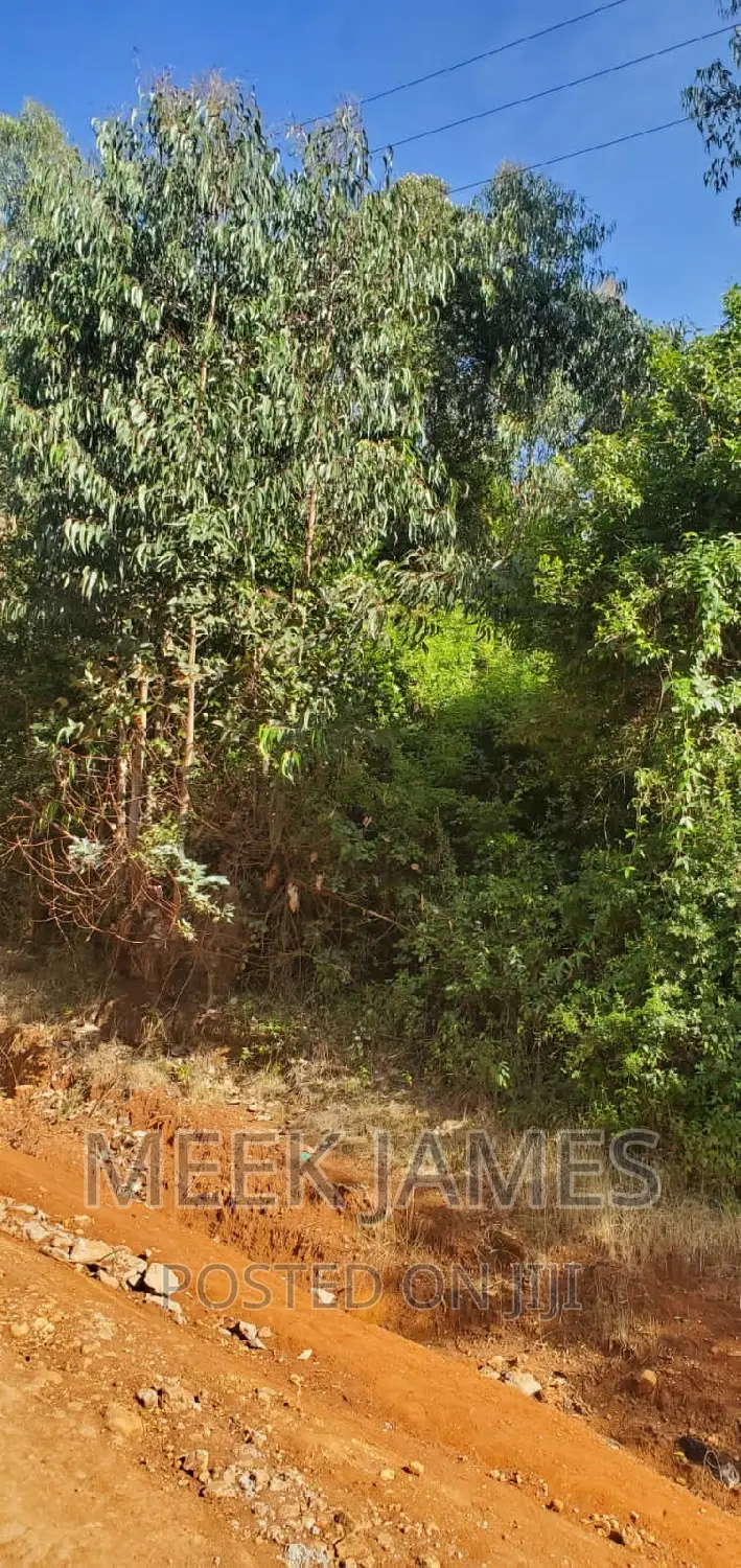 Quick Sale 2 Acres of Land