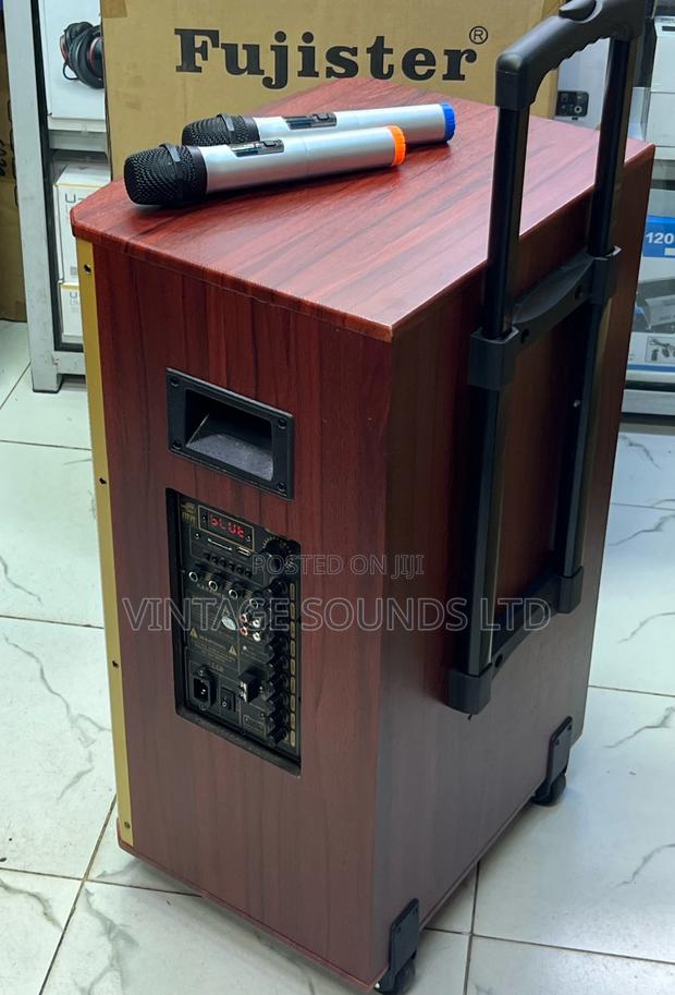 Fujister F-605 Portable Powered Speaker With Bluetooth Usb - thumbnail 2