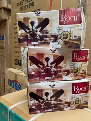24 Inches Roch Ceiling Fan at 2699