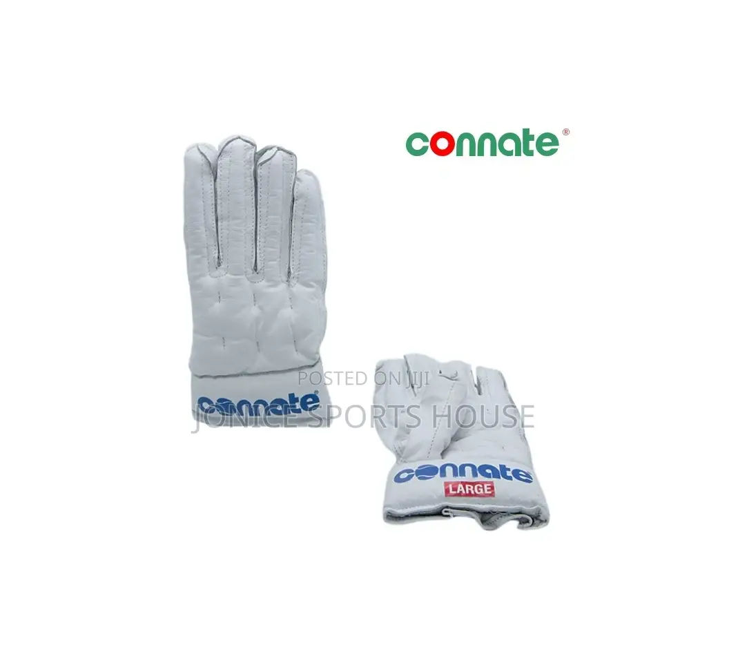 Hockey Gloves
