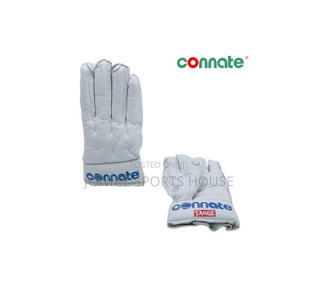 Hockey Gloves