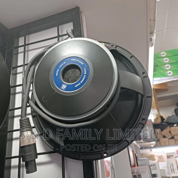 BM 12 Inch Speaker 12AZ20