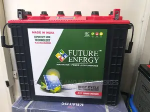 Future Energy 12V 200ah Deep Cycle Tall Tubular Battery
