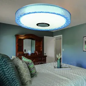 Smart Ceiling Lamp With Bluetooth Speaker