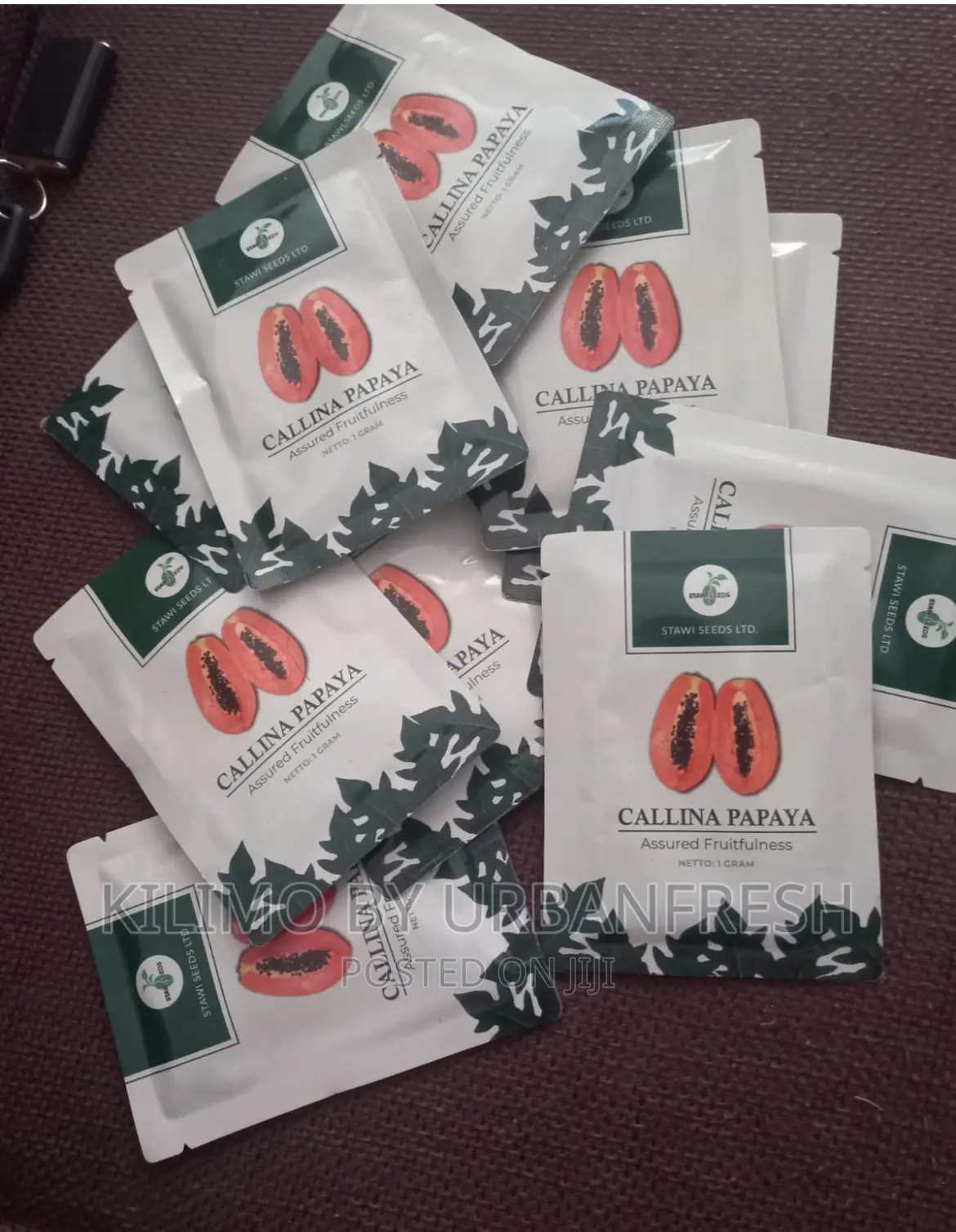 Solo Sunrise Calina Seeds 1gram Packet