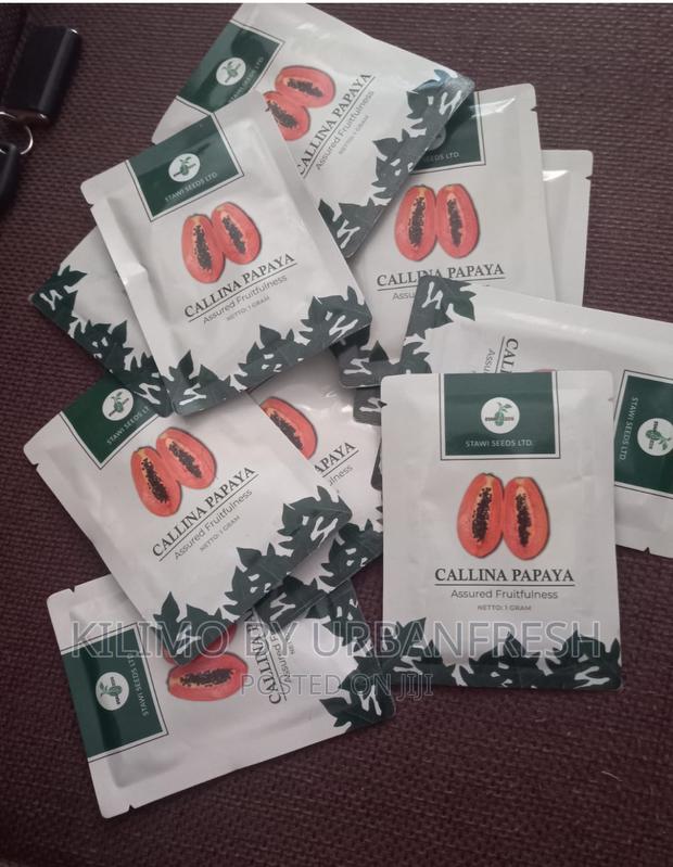 Solo Sunrise Calina Seeds 1gram Packet - main view