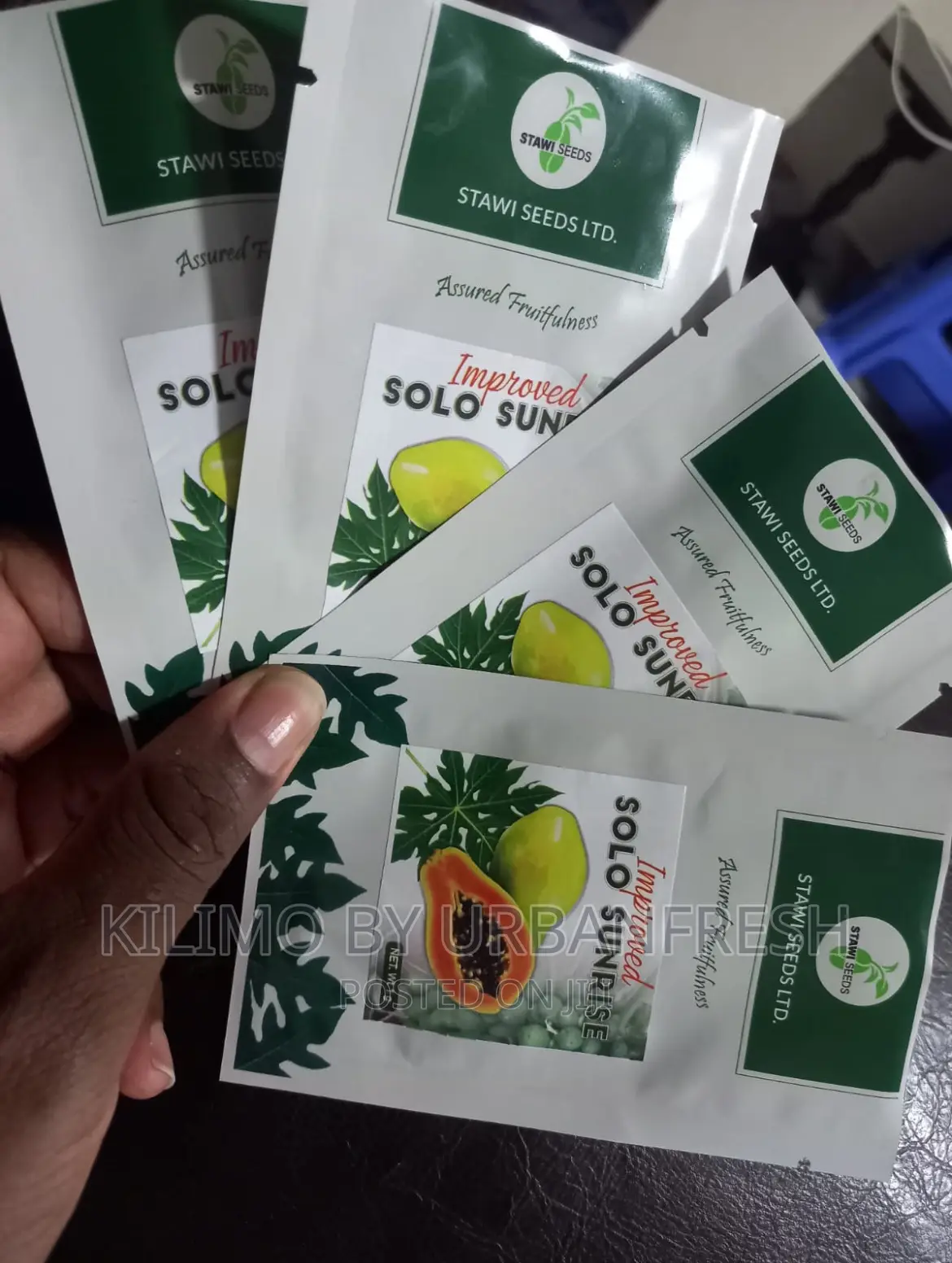 Solo Sunrise Calina Seeds 1gram Packet
