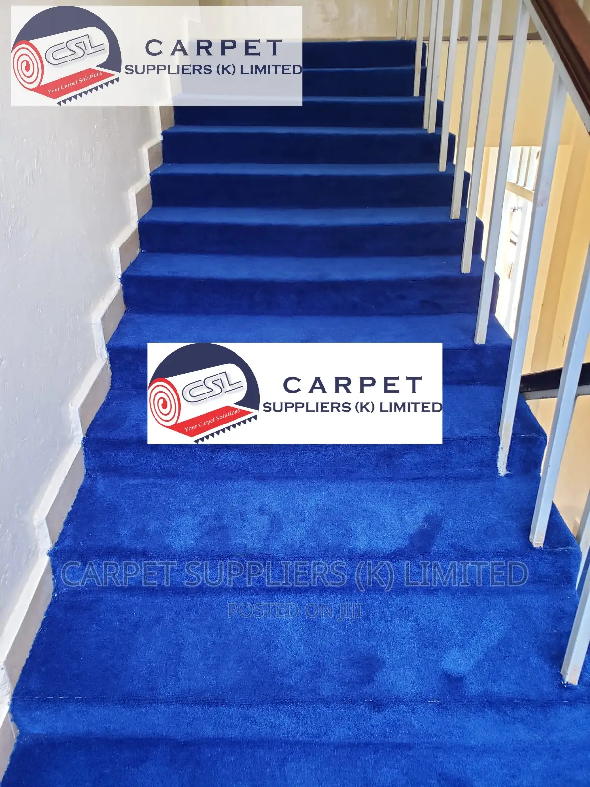 Blue Carpet