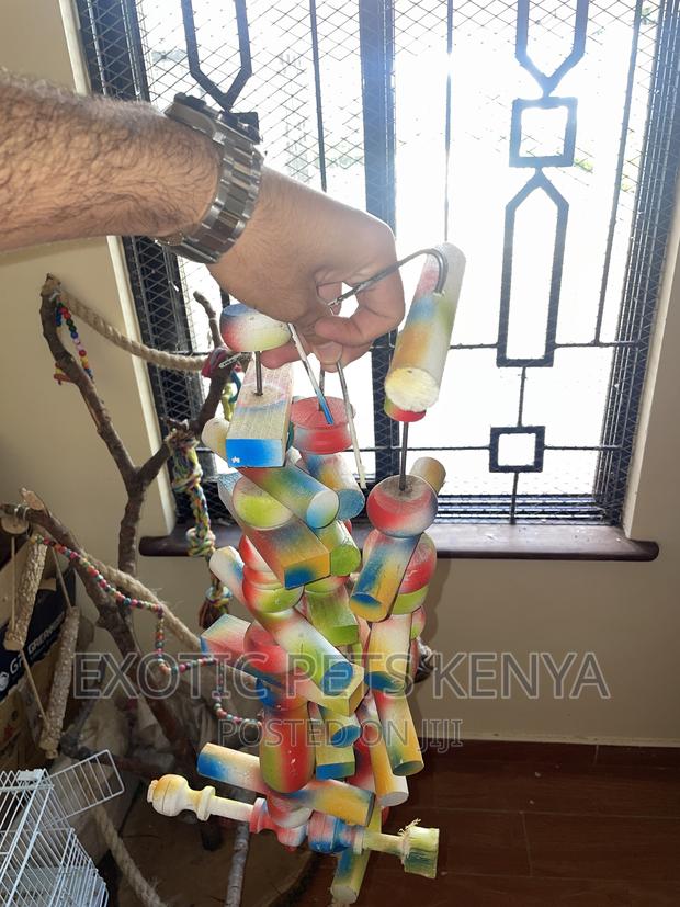 Parrot Toys - main view