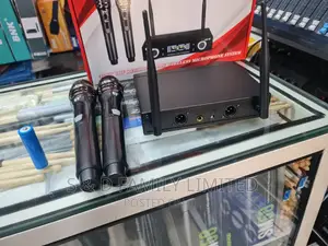 EV Rechargeable Wireless Microphone
