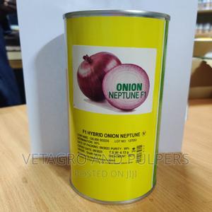 F1 Hybrid Onion Neptune Seeds - main view